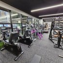 보스턴 피트니스 이미지