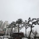 성북-길음-3351 이미지