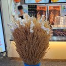 대복희 네이버블로그