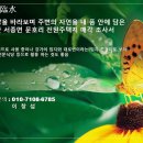 [강조망]양평군 서종면 문호리 강가 조망 가능한 토지 입니다 이미지