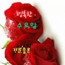다영황 이미지