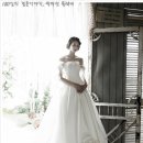 조이엘리