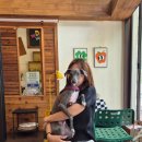 위디위키 이미지