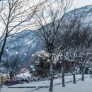 대둔산 글램핑 캠핑장 이미지