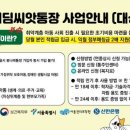 강동 이미지