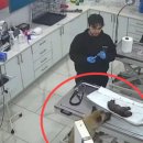 온 동물병원 이미지