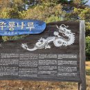 주룡나루 이미지