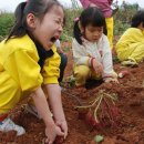 충남농장 이미지