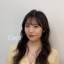 현이샌드 이미지