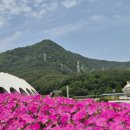 녹차밭약수터 이미지