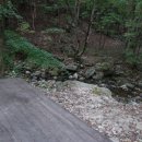 유명산골 | 산음 자연휴양림 110번 데크