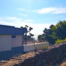 귤낭하우스25 이미지