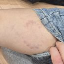 11650-7-69-26 | 역대급 시간순삭, 입다이어터의 26년 1,2월 일상