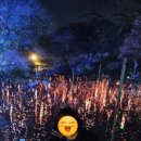 은성패키지 이미지