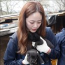 김창현농장 이미지