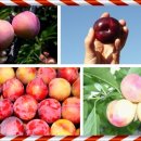 먹고힘내 이미지