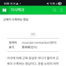 의사 꽈추형 피셜 장애인들 열들십센치들 대구년들 수면주입해대네 집에가기전 공공시설물 테러다 ^^ 이미지