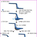 판상농장 | 한탄강지질공원 지질명소 - 철원권 1: 고석정, 삼부연폭포, 샘통