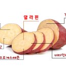 고구마판매합니다