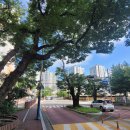 초장동4 이미지