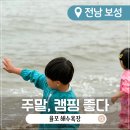 율포마트 | 율포 해수욕장 취사 가능한 캠핑하기 좋은 광주 근교 바다