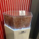 기생충박물관 이미지