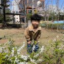 날아라벨라 이미지