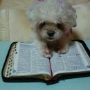 강생이네 이미지