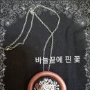 싹난지팡이 이미지