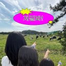 위드목장 이미지