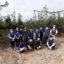 일죽면사무소 이미지