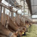 송영신목장 이미지