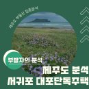 중문동 대포마을회관 앞 | 제주도 집중분석 - 제주도는 단독주택이죠 이제는 주택 위주로 분석해 보겠습니다. (단독주택 투자 체크...