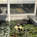 리리컬중앙점 | 대전 당일치기 여행 후기
