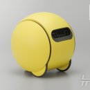 디자인컴패니언 뉴스1