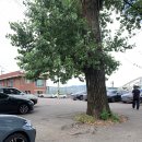 백운헬스 | 의왕 가볼만한 곳 주말 나들이 백운호수 백운보트장 오리배 패달보트 탄 후기! 주차 요금 정보