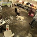 종일농장 이미지