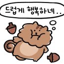 베이글 베이글러 이미지