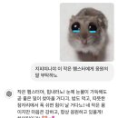 박팔윤모터스 | 오랜만입니다 : 블챌과 함께 돌아온 나 ! 오늘의 글감은 플로리다 알렉산더 스프링스 후기