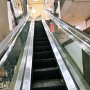 산본카리스 이미지