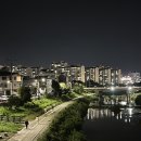 풍영정천길 | 풍영정천 자전거도로ㅣ광주 광산구 야간 자전거 코스 추천