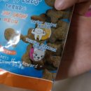 컴페니온 이미지