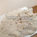 2023 2월 한국문화센터 연합회 자격증 시험 일정 이미지