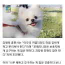 공감 이미지