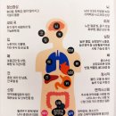 부산시립정신병원 | [공지] [리플렛] 건강한 인생을 위해 마약, 예방도 알아야 가능!