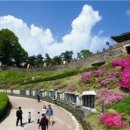 황포식당 이미지