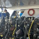 펀플러스 | [이집트 후루가다 스쿠버다이빙] Dive Nemo 펀다이빙 후기 내돈내산 업체 추천