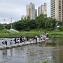 삼봉초등학교 이미지