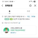 다육요정