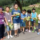 구월2동, 청소년 농촌문화 체험 캠프 이미지